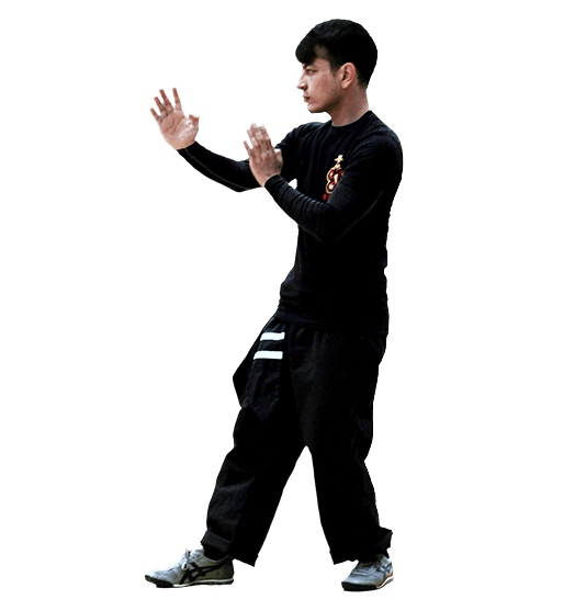 Wing Chun Phoenix Self-defense classes