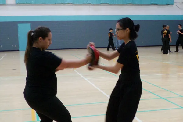 Wing Chun Self-Defense Féminin - AMES